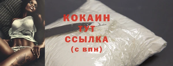 мет Дмитров