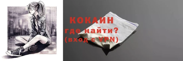 мет Дмитров