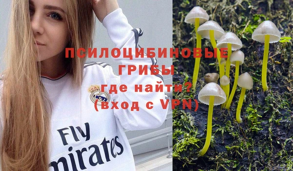 мет Дмитров