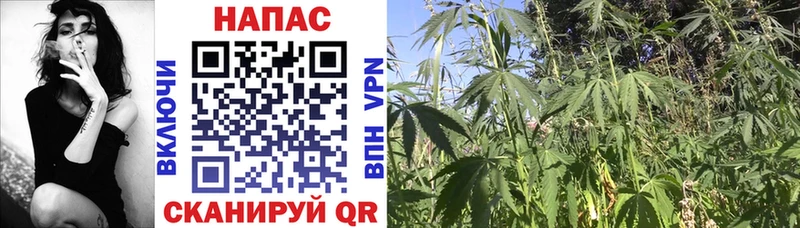 Марихуана Bruce Banner ОМГ ОМГ ССЫЛКА Зарайск цена наркотик